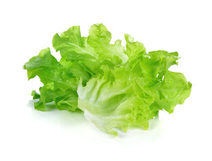 新鲜生菜