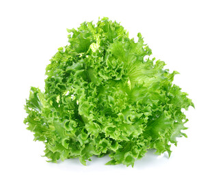 新鲜生菜