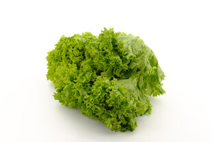新鲜生菜