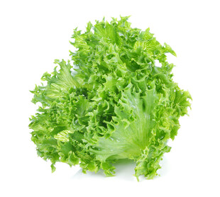 新鲜生菜