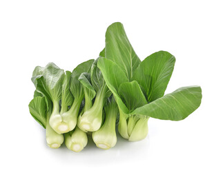 新鲜小白菜翠绿惹人爱
