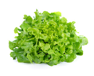 新鲜生菜