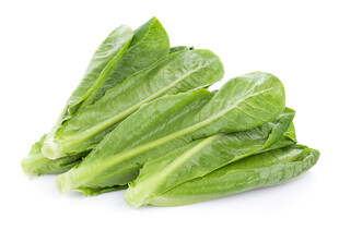 新鲜油麦菜