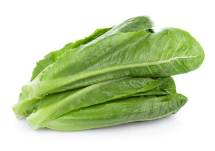 新鲜生菜堆叠