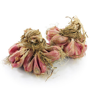 两簇带根红皮大蒜