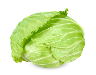 新鲜圆白菜