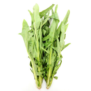 新鲜嫩绿的苦苣菜