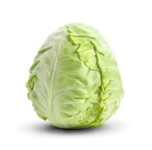 一颗新鲜的圆白菜