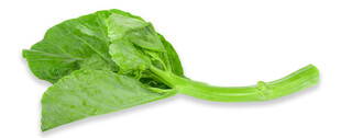 新鲜嫩绿菠菜叶