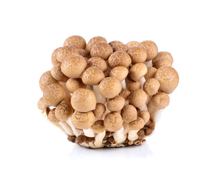 新鲜蟹味菇