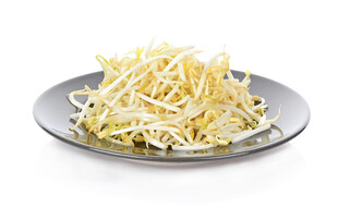盘中鲜嫩豆芽菜