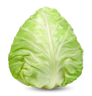 新鲜卷心菜
