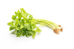 新鲜香菜