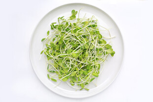盘中鲜嫩豆芽菜