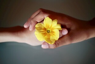 双手捧报春花传递美好