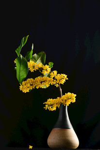 花瓶中绽放的黄色桂花