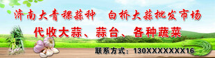 大蒜海报