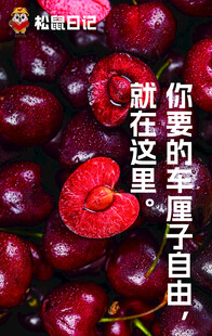 车厘子海报