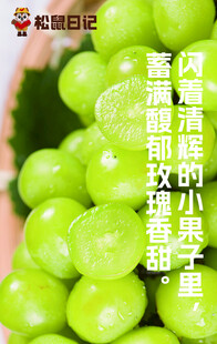 葡萄海报