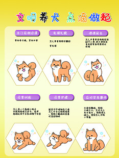 萌态柴犬动作展示