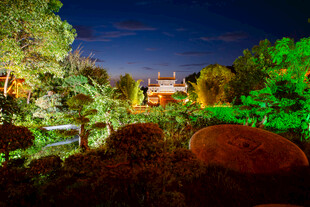 夜间庭院美景