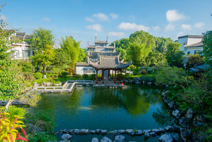 中式园林池塘美景