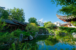 中式园林池塘美景