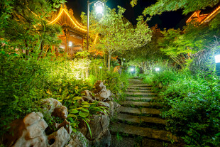 夜下园林小径