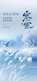 冬日群鸟翔于芦苇湖畔