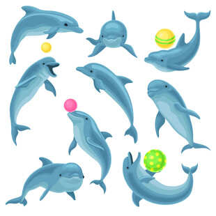 海豚玩球可爱插画