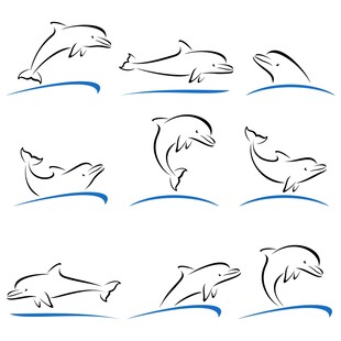 海豚线条插画设计元素