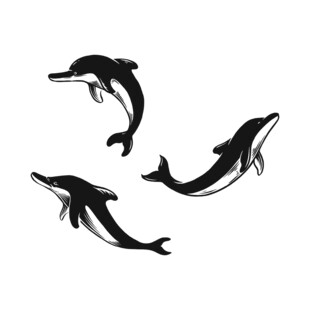 三只海豚剪影