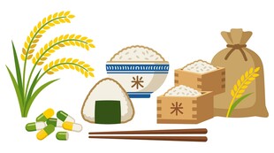 稻米食材素材