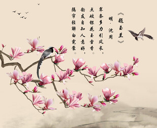 玉兰花