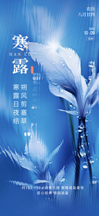 寒露节气主题插画