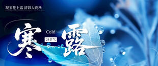 寒露节气海报