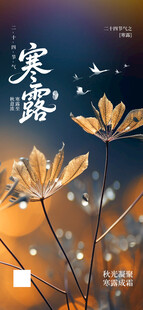 寒露