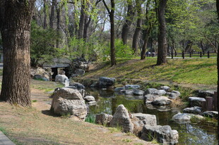 公园风景