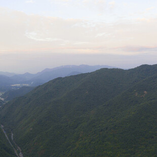 山峦绿意浓