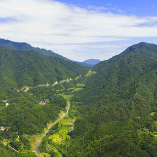 青山绿水间的蜿蜒公路