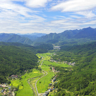 山间绿野风光俯瞰美景