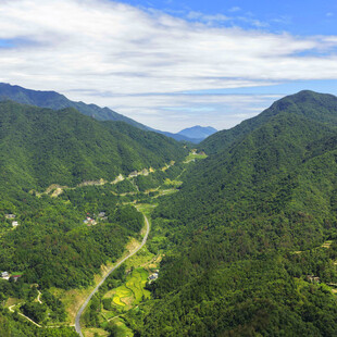 山间蜿蜒公路的翠绿景致