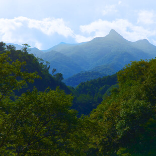 青山绿树间的秀丽山峦