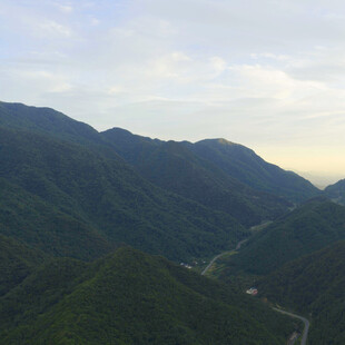 山峦叠翠间的蜿蜒之路