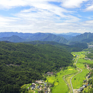 山间绿野村庄的美丽景致