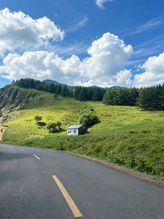 夏日郊野公路美景