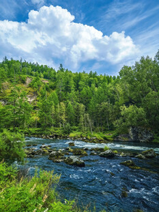 山林河畔夏日自然美景