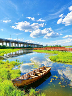郊野湿地河畔风光