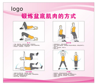 盆底肌肉锻炼方式图示