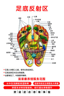 足底反射区